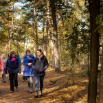 draagwandeling